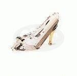 High-Heeled Shoe Archived Data