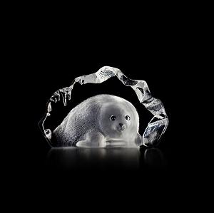 Mats Jonasson Baby Seal
