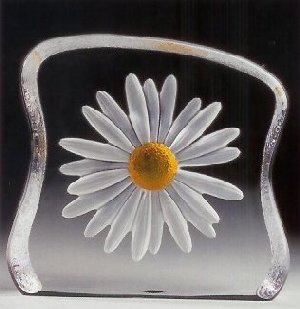 Daisy, Large - MJ 33886