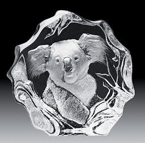 Mats Jonasson Koala Bear -Glass Etching MJ 33626