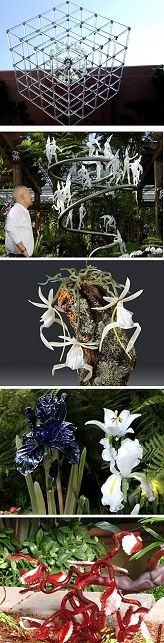 Frabel Showcase Sampler