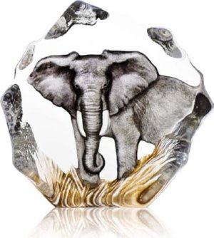 Elephant in Color by Mats Jonasson- MJ 33907