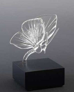 Frabel Butterfly small