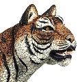 Swarovski SABU [tiger] special order while supplies last