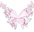 Large Rosaline Butterfly