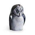 Safari Owl