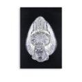 Bossy Ltd Ed