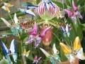 Paradise by Julie