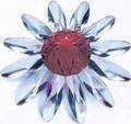 SCS Red Marguerite Flower