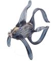 Navy Blue with Gold Accents Angelfish