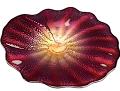 Fuchsia Wallplate by Cliff Goodman
