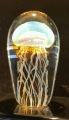 Blue Moon Glass Jellyfish Sculpture Satava small size,