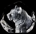 Mats Jonasson Tiger, New for 2010