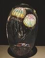 Richard Satava - Double Passion Moon Jellyfish, Magnum Size