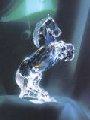 White Stallion Archived Data