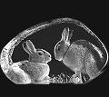 Mats Jonasson Etched Glass Rabbits MJ 34008