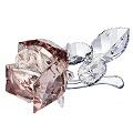 Swarovski Crystal Blush Blossoming Rose