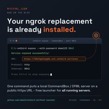 Image about Expose local CommandBox servers to the internet using NetBird