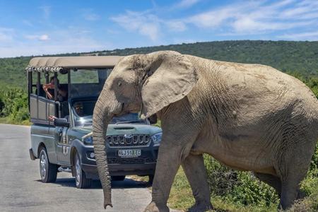 Image #172 about Exploring South Africa, Victoria Falls, and Botswana