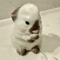 Baby Bunny Rabbit