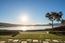 La Serena - SOLD (Image 16)