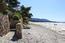 Direct access to the sands of Carmel Beach (Image 25)