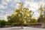 35351 E Carmel Valley Road (Image 2)