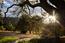 35351 E Carmel Valley Road (Image 48)