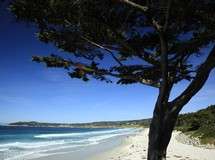 Carmel Beach View