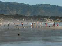 Carmel Beach Walks