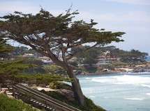Carmel Point
