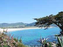 Carmel River Beach