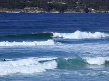 Carmel Surfing