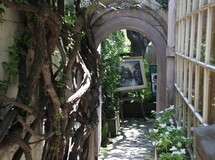 Carmel Hidden Pathways