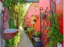 Secret Garden Carmel