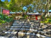 Carmel Art Association