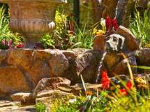 Carmel Plaza's Fountain of Woof