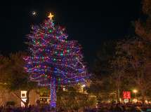 Annual Carmel Tree Lighting