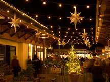 Carmel Plaza Holiday Party