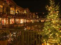 Carmel Plaza Holiday Party