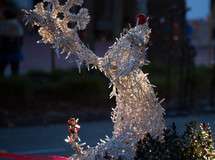 Image about Holidays #182