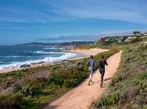 Carmel River State Beach