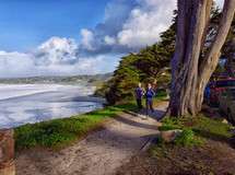 Carmel's Scenic Bluff Path