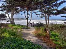 Carmel's Scenic Bluff Path