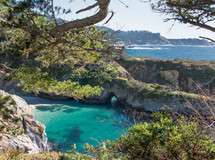 Point Lobos State Reserve Southern Park Loop and China Cove