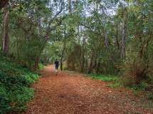 Carmel's Mission Trail Nature Preserve