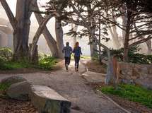 Carmel's Scenic Bluff Path