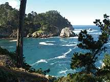 Point Lobos 1
