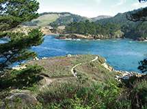 Point Lobos 2