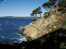 Point Lobos 3
